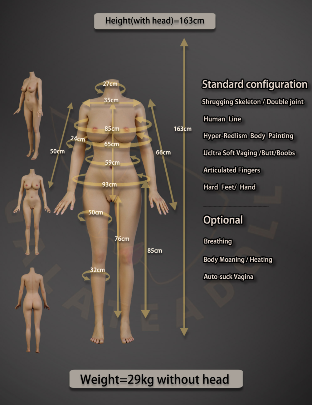 sex doll GT-163 Body Data